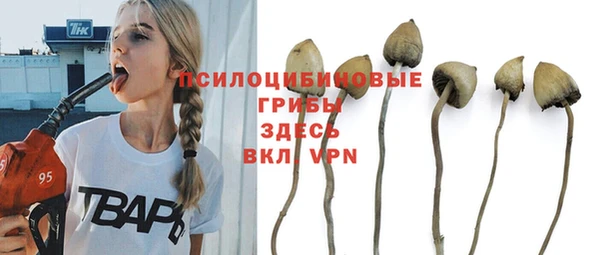 первитин Осинники