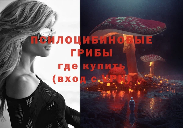 ECSTASY Осташков