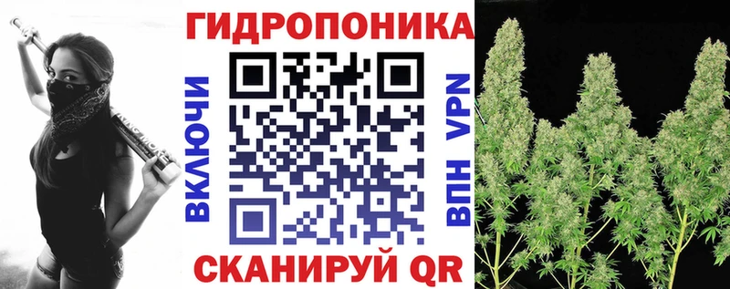 Шишки марихуана сатива  Купить  Лобня 
